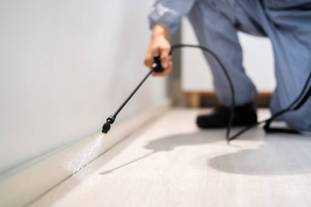 Licensed Rodent Control service in Lake San Marcos, CA - Nex Pest Control