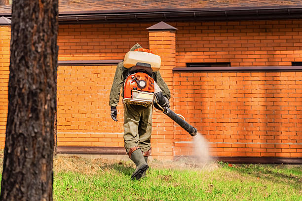 Trusted Rodent Control service in Lake San Marcos, CA - Nex Pest Control